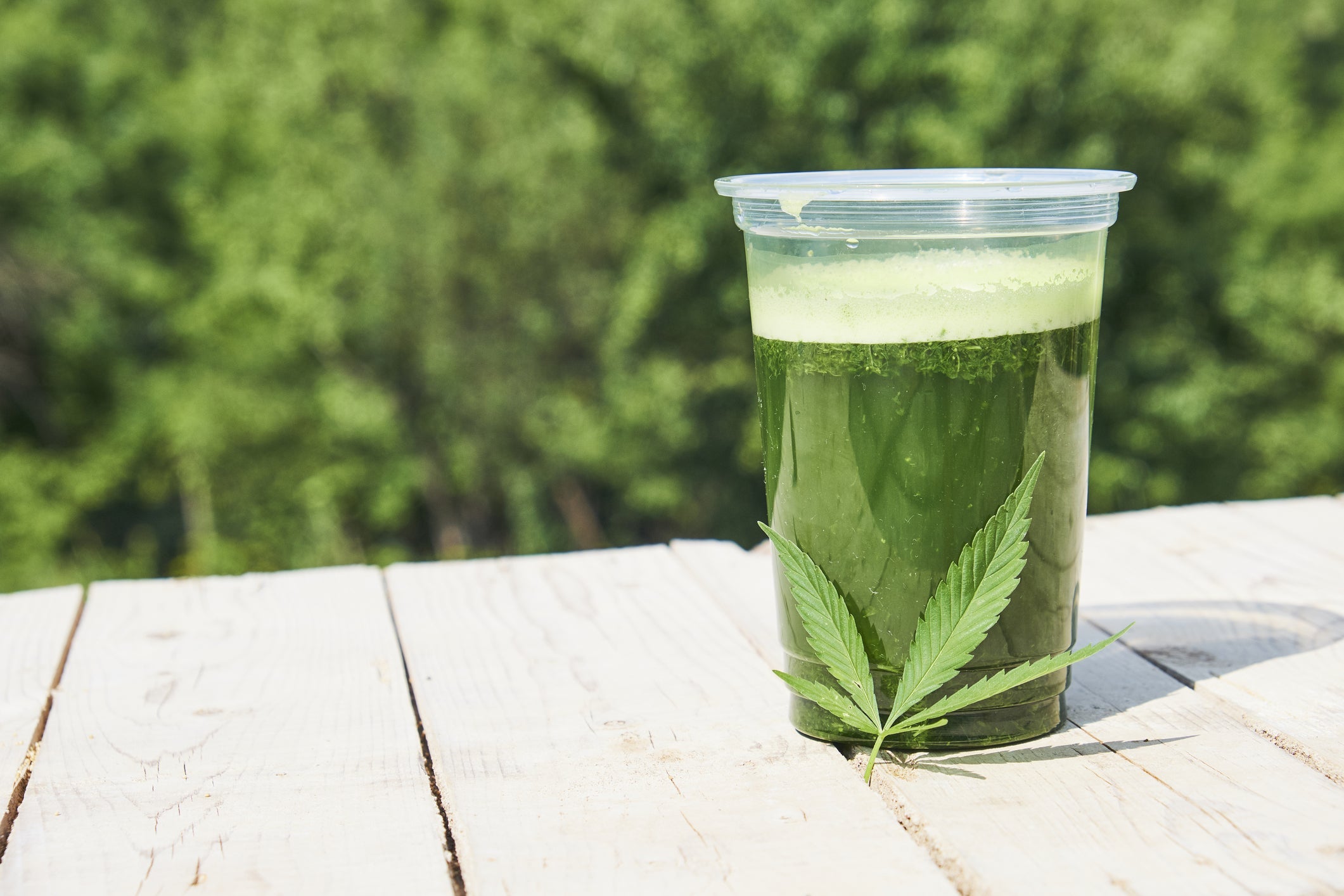 cbd edibles​