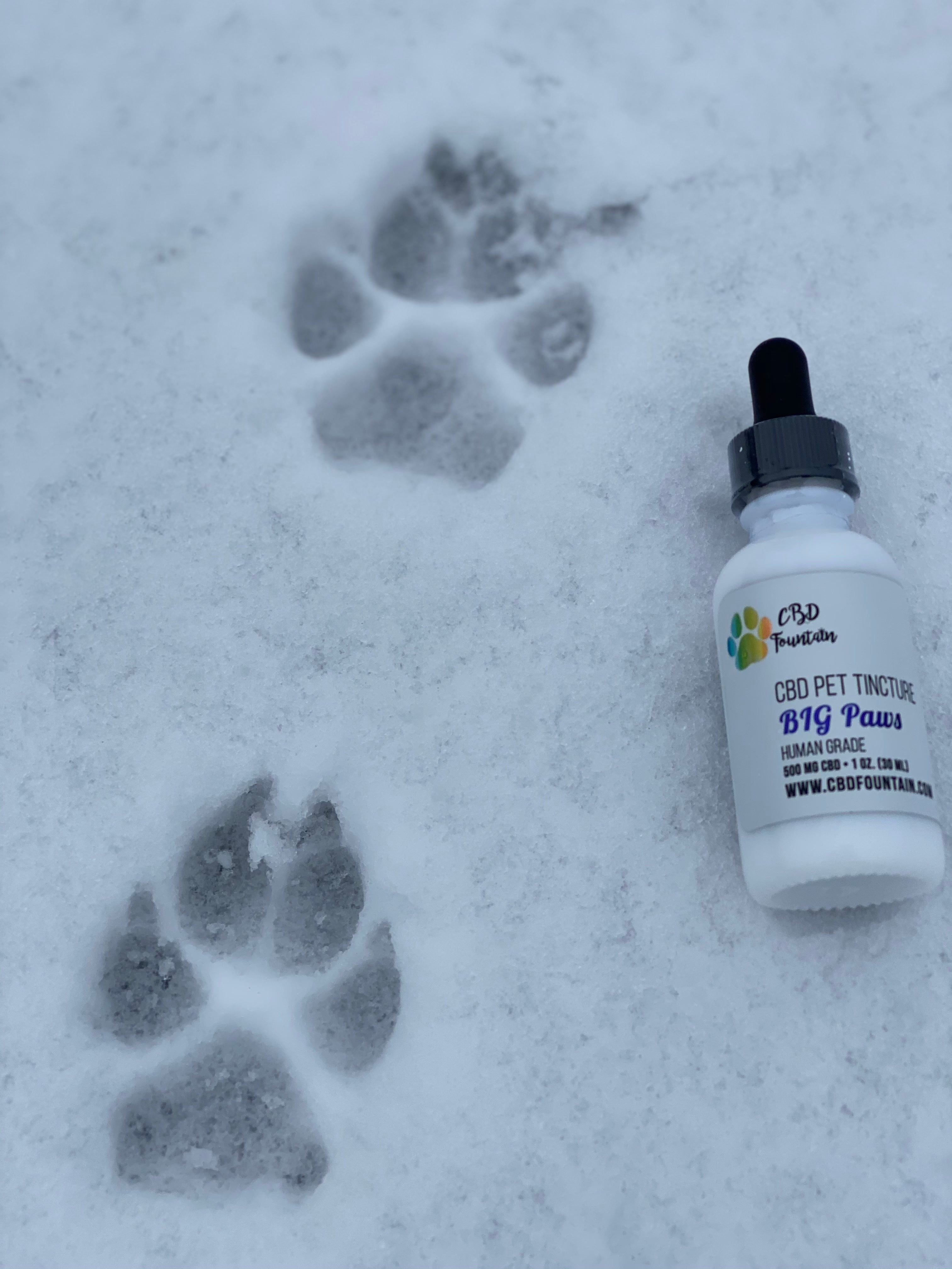 pet tincture cbd